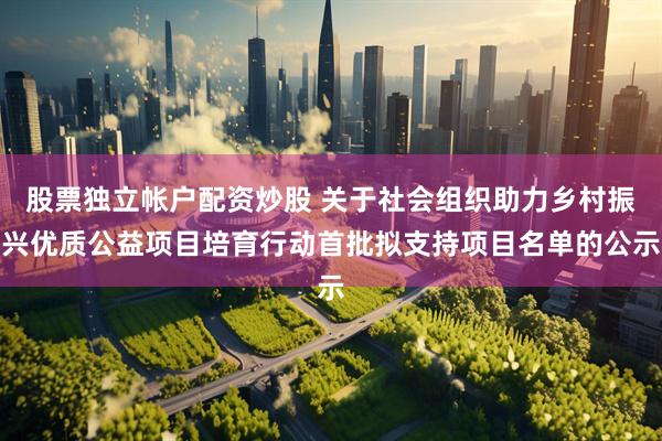 股票独立帐户配资炒股 关于社会组织助力乡村振兴优质公益项目培育行动首批拟支持项目名单的公示