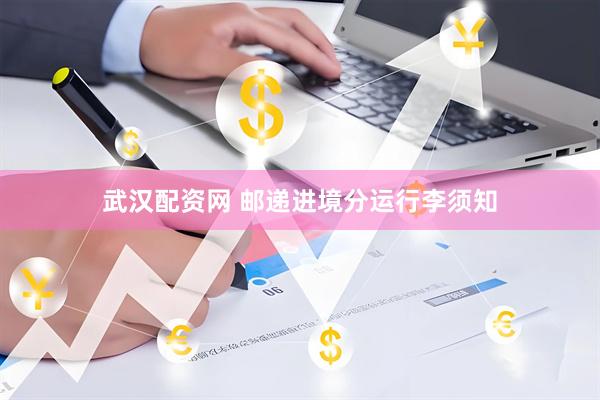 武汉配资网 邮递进境分运行李须知