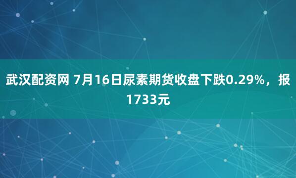 武汉配资网 7月16日尿素期货收盘下跌0.29%，报1733元
