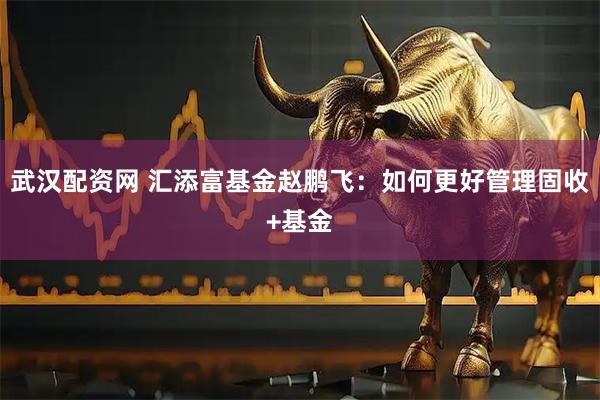 武汉配资网 汇添富基金赵鹏飞：如何更好管理固收+基金