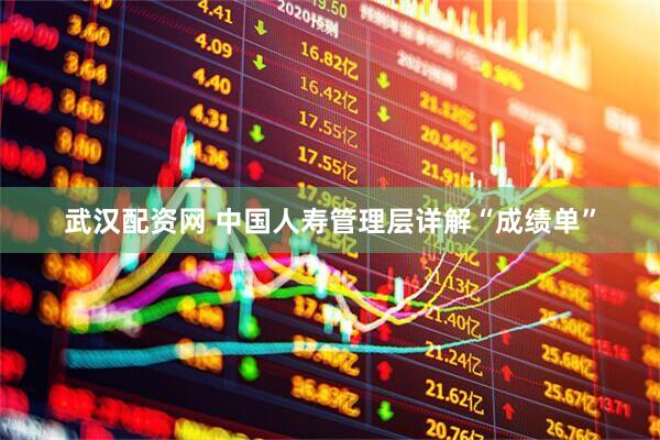 武汉配资网 中国人寿管理层详解“成绩单”