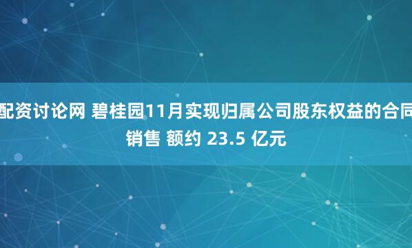 配资讨论网 碧桂园11月实现归属公司股东权益的合同销售 额约 23.5 亿元