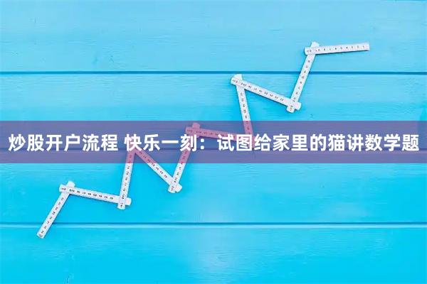 炒股开户流程 快乐一刻：试图给家里的猫讲数学题