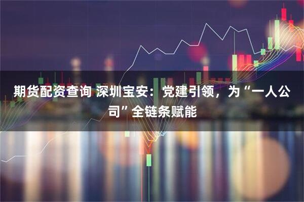 期货配资查询 深圳宝安：党建引领，为“一人公司”全链条赋能