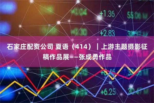 石家庄配资公司 夏语（414）｜上游主题摄影征稿作品展——张成勇作品